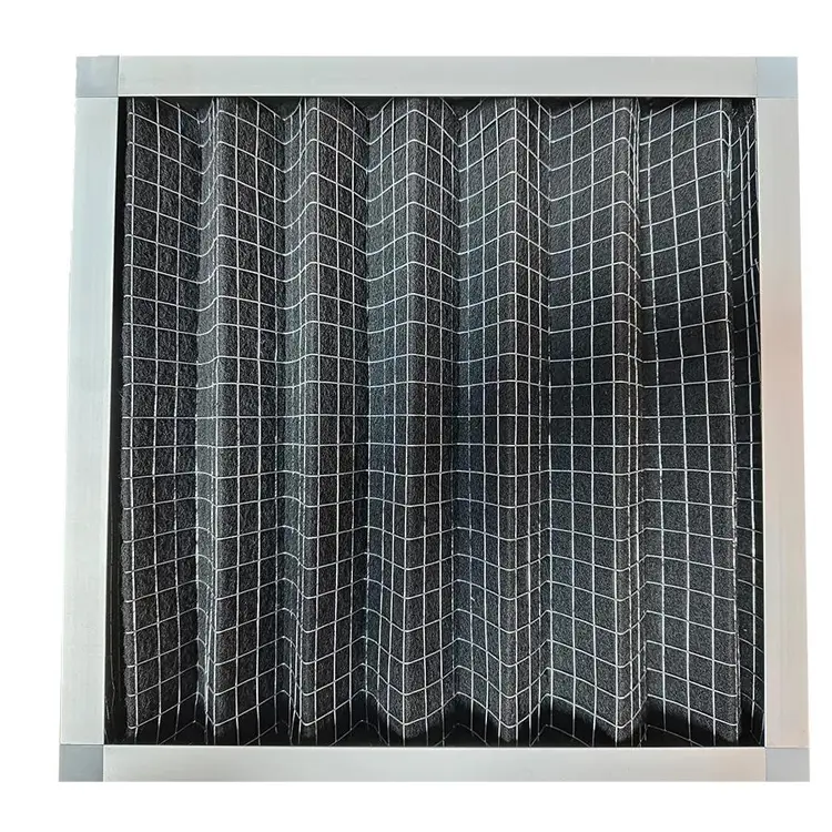 Activated carbon filter.jpg